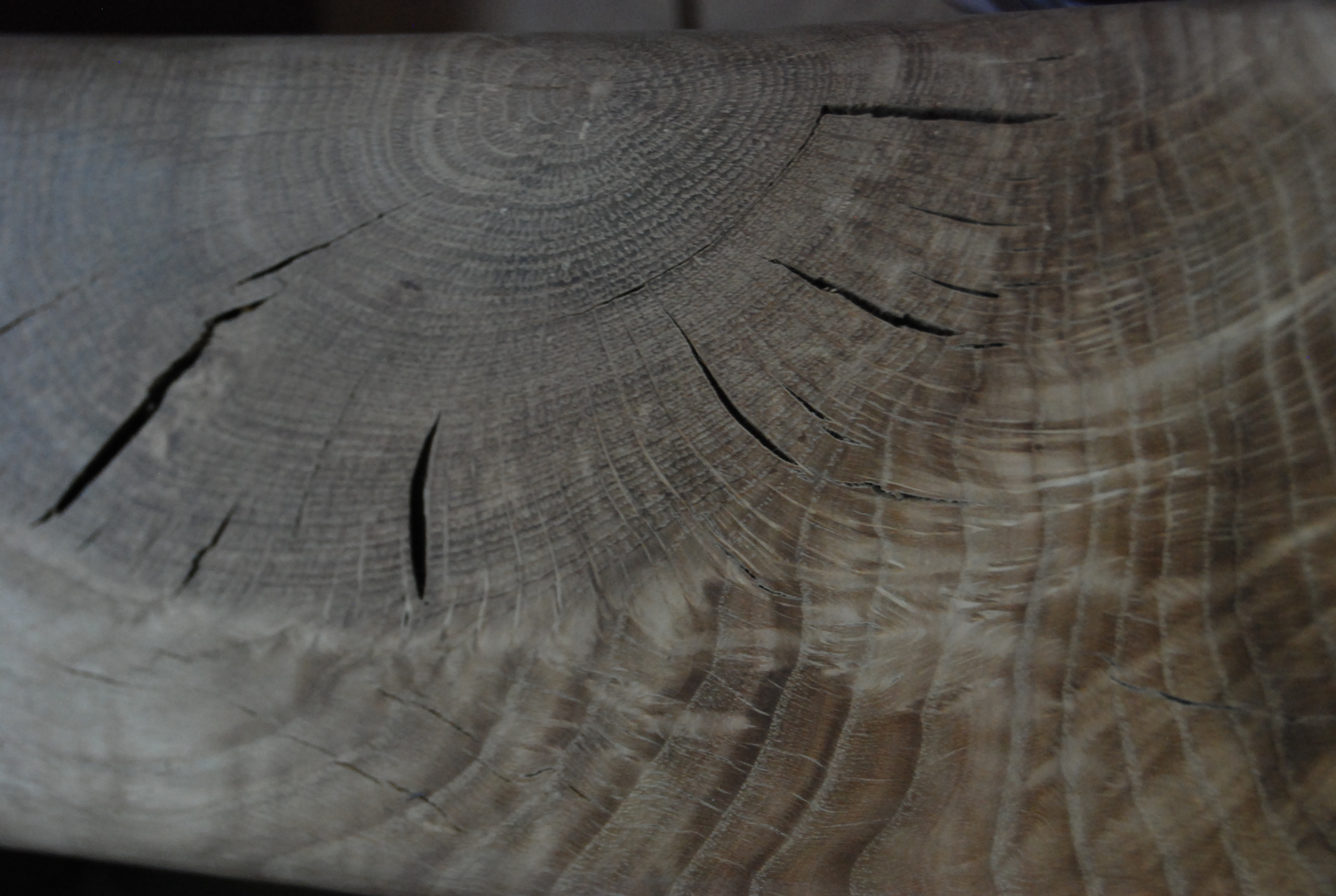 Manufaktur Märki Am Gleis 1 GmbH Veloladen am Bahnhof Rheinfelden